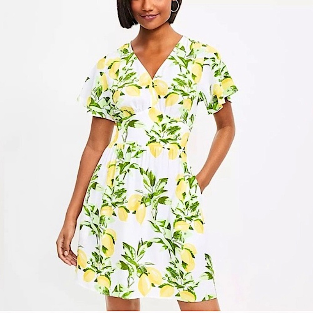LOFT DRESS💋NWT